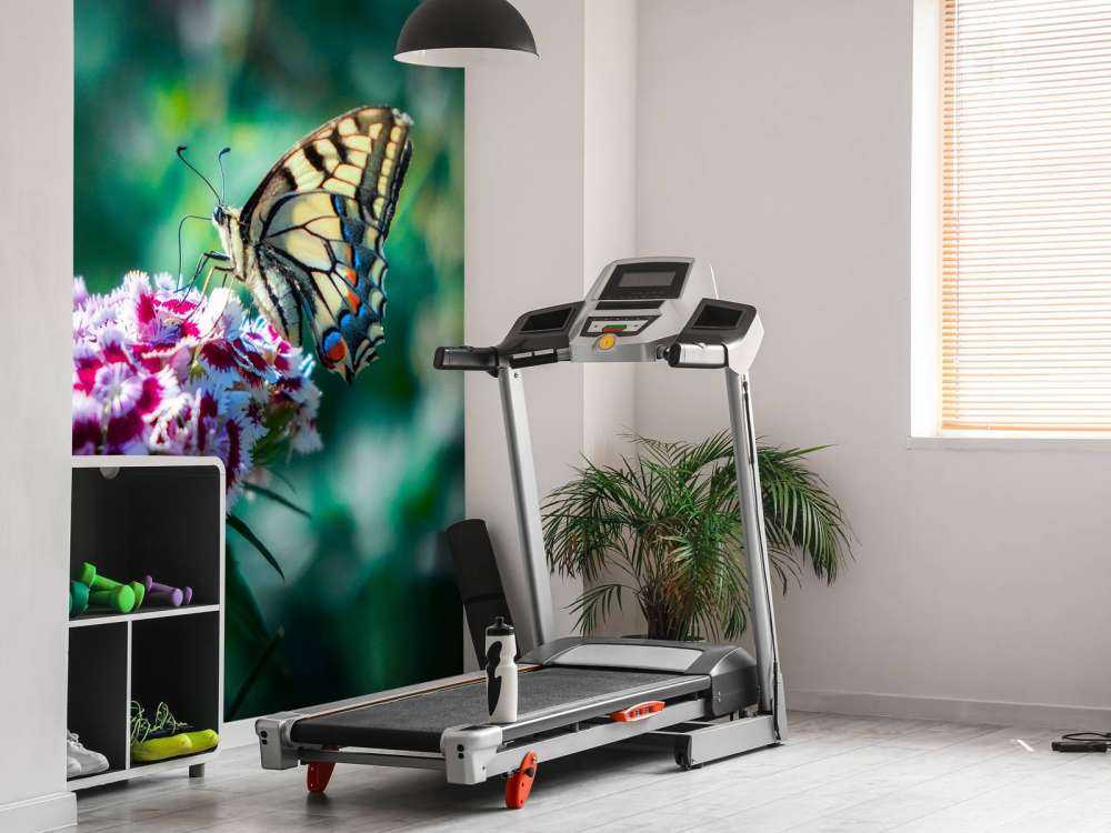 Papillon sur des fleurs estivales