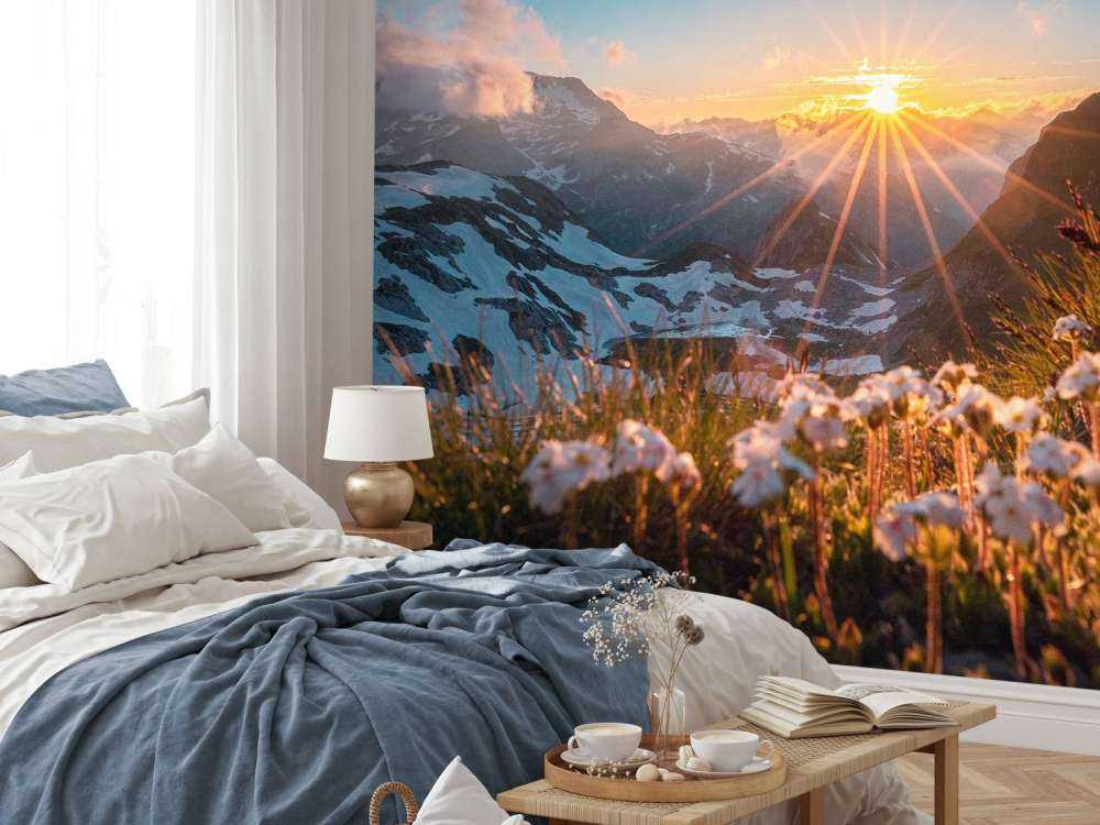 Lumière du soleil sur alpage alpin