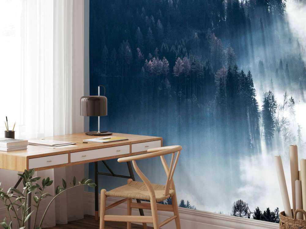 Lumière du matin dans la forêt brumeuse.