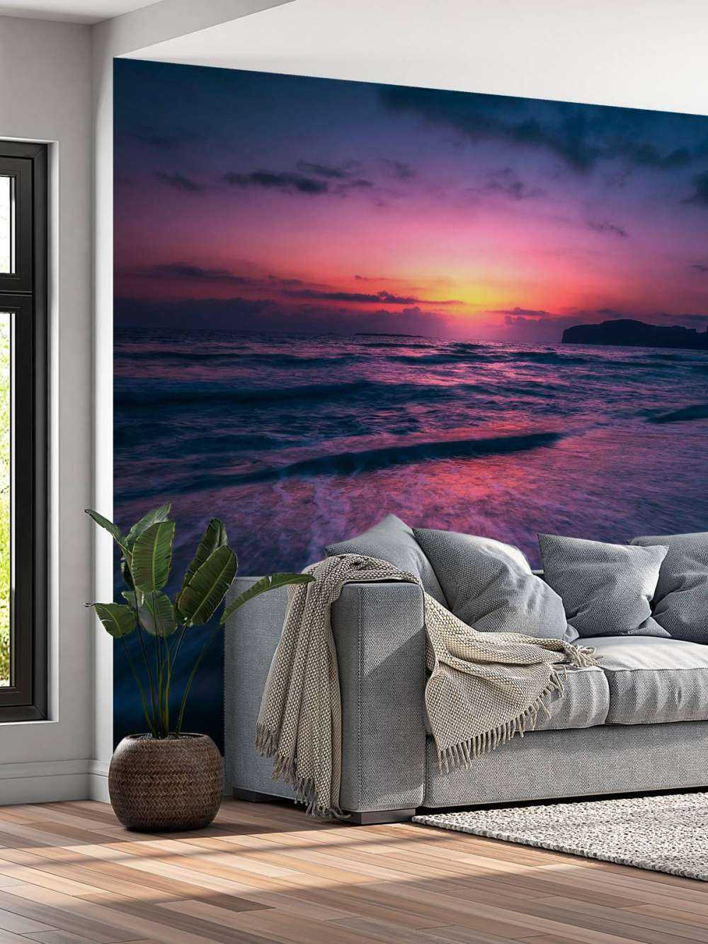 Lueur du soir sur la côte violette