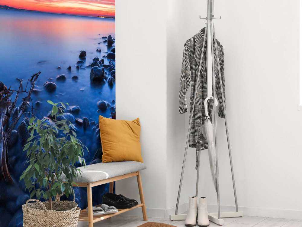 Rive boueuse à la lumière du soir.