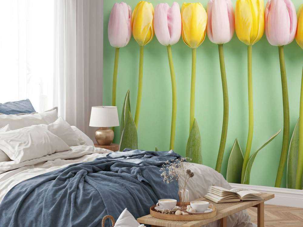 Tulipes sur fond vert menthe