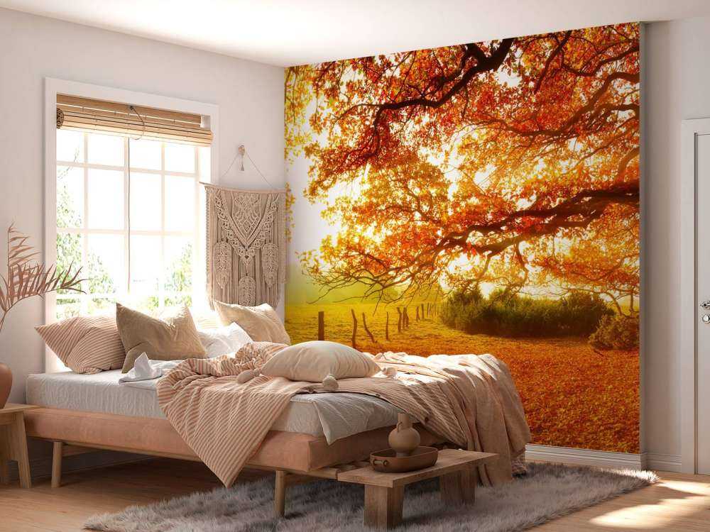 Paysage d'automne avec forêt et prairie