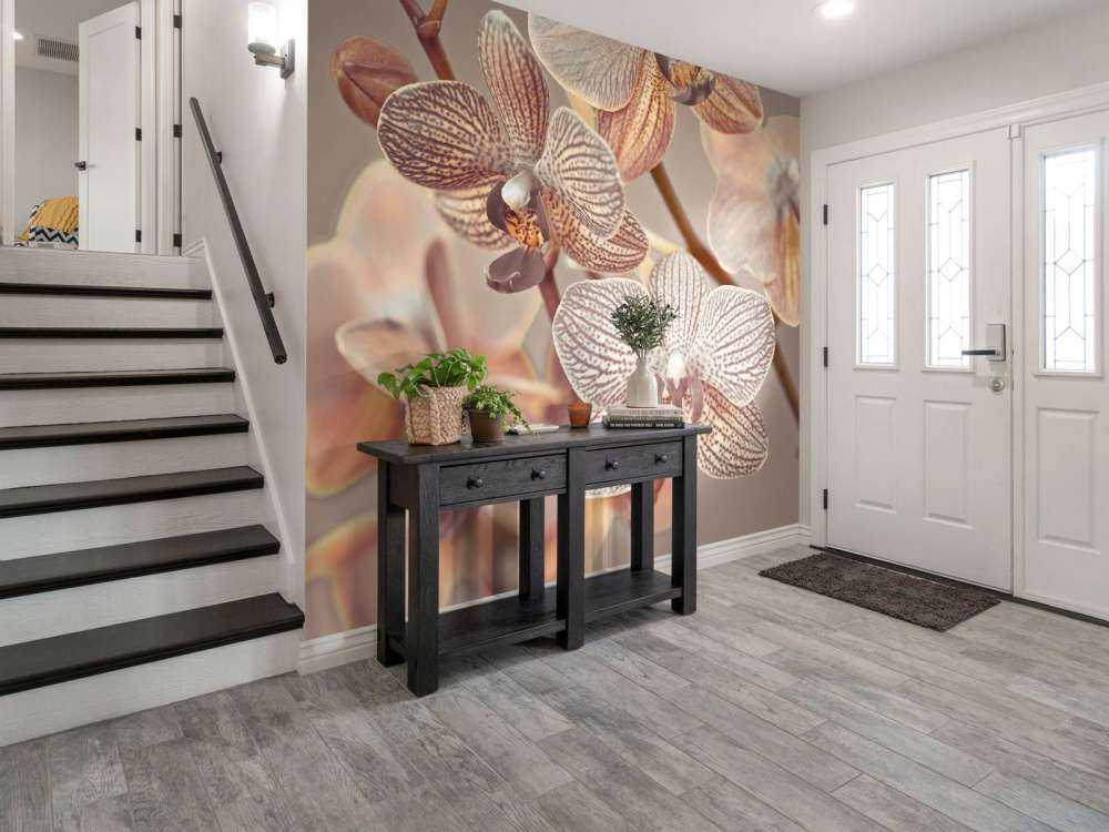 Gros plan d'orchidée