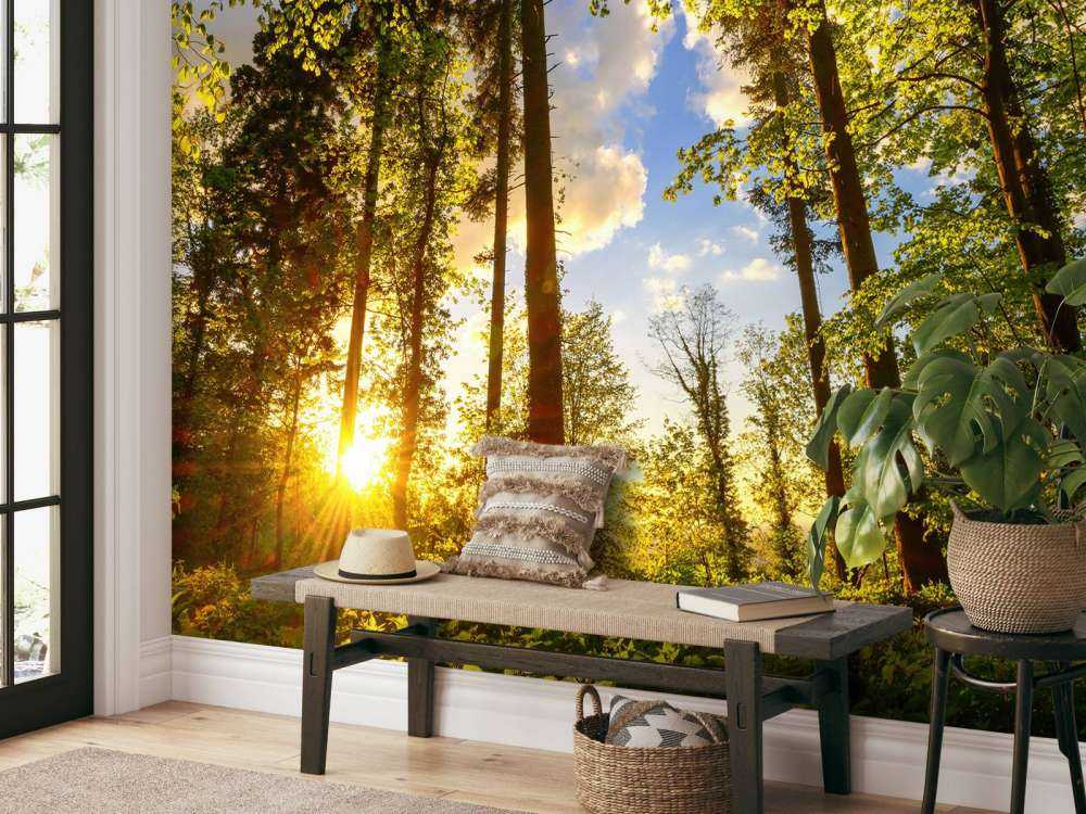 Coucher de soleil à travers les arbres