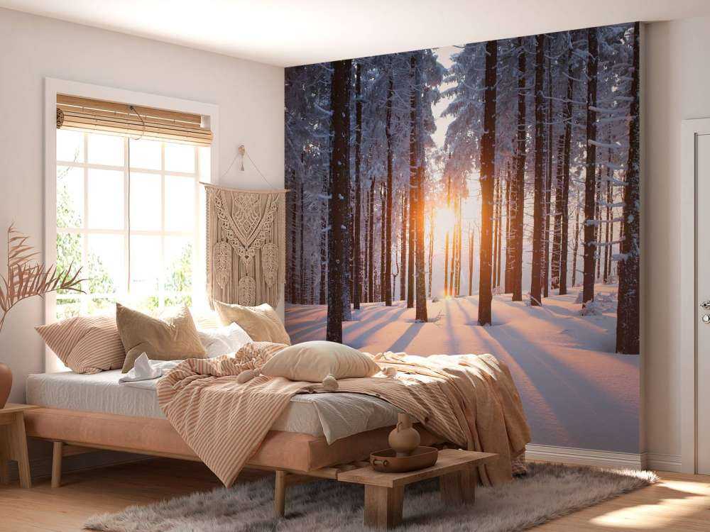 Coucher de soleil dans une forêt d'hiver