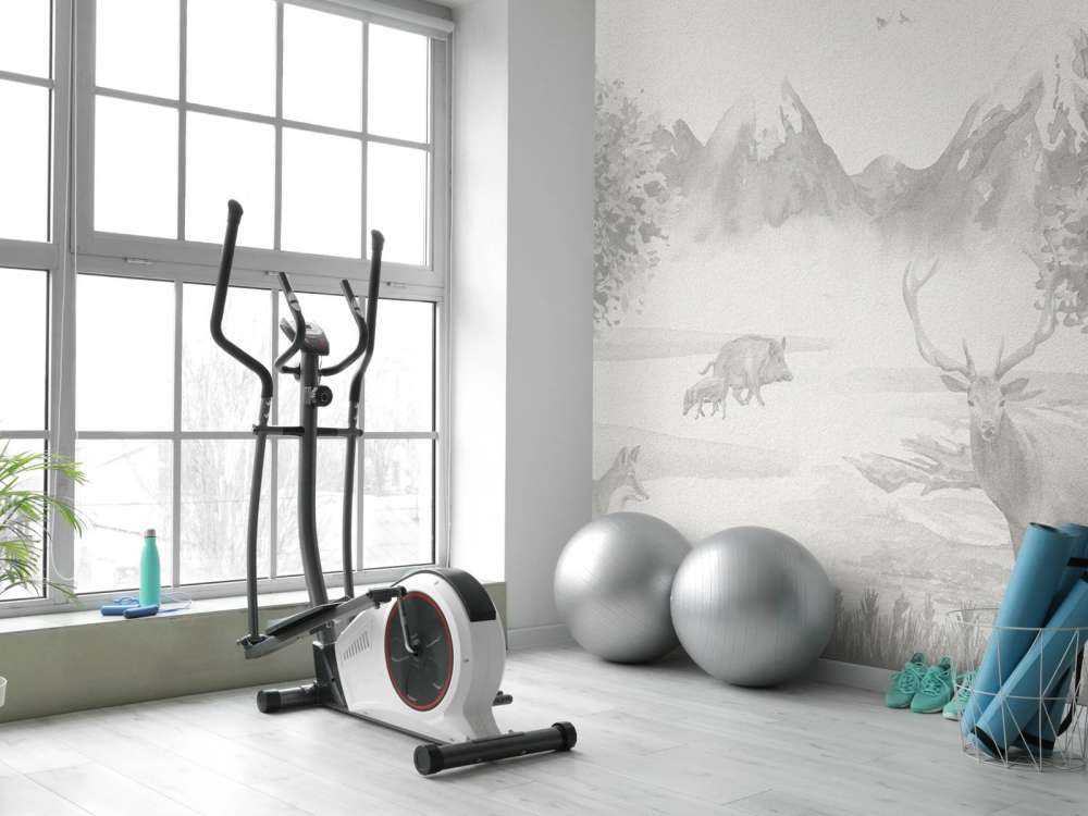 Animaux de la forêt en nuances de gris