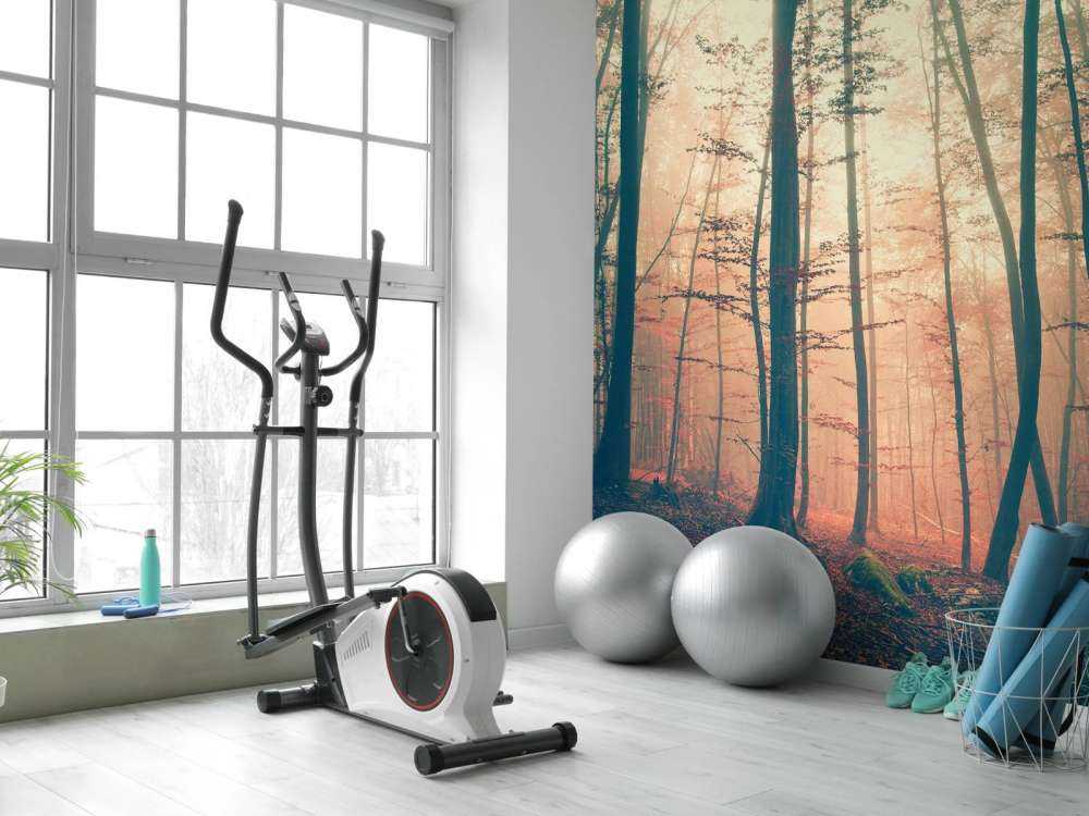 Forêt aux couleurs vintage