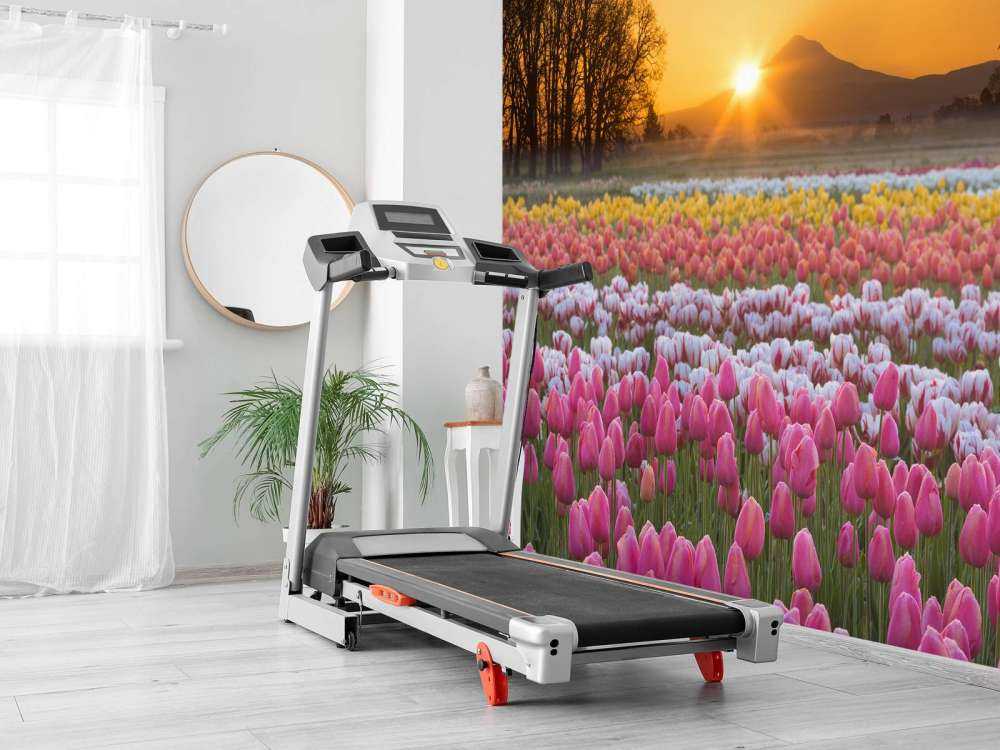 Champ de tulipes coloré