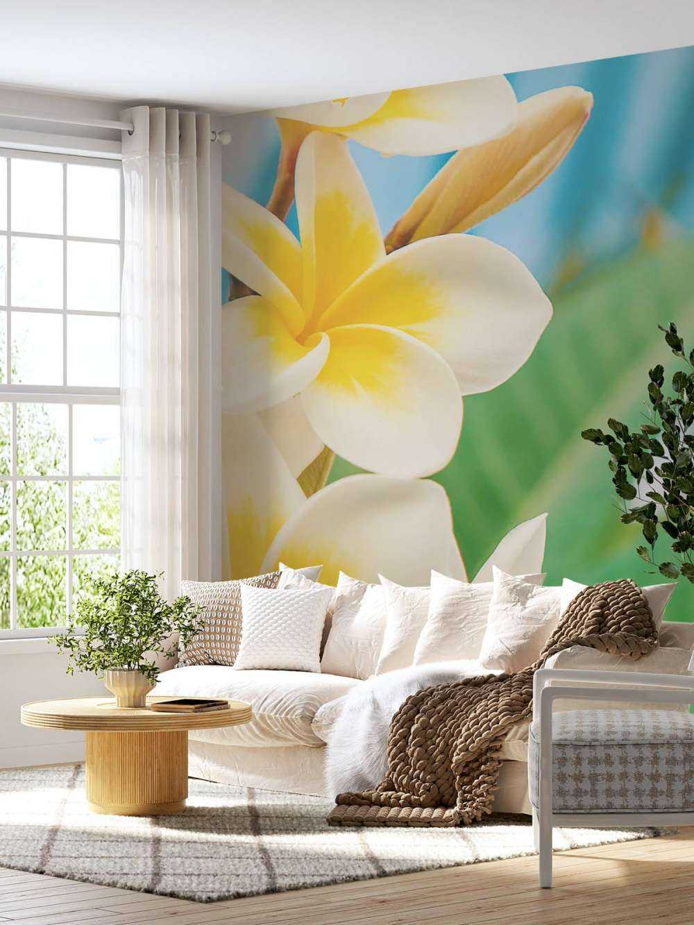 Fleur de plumeria blanc jaune
