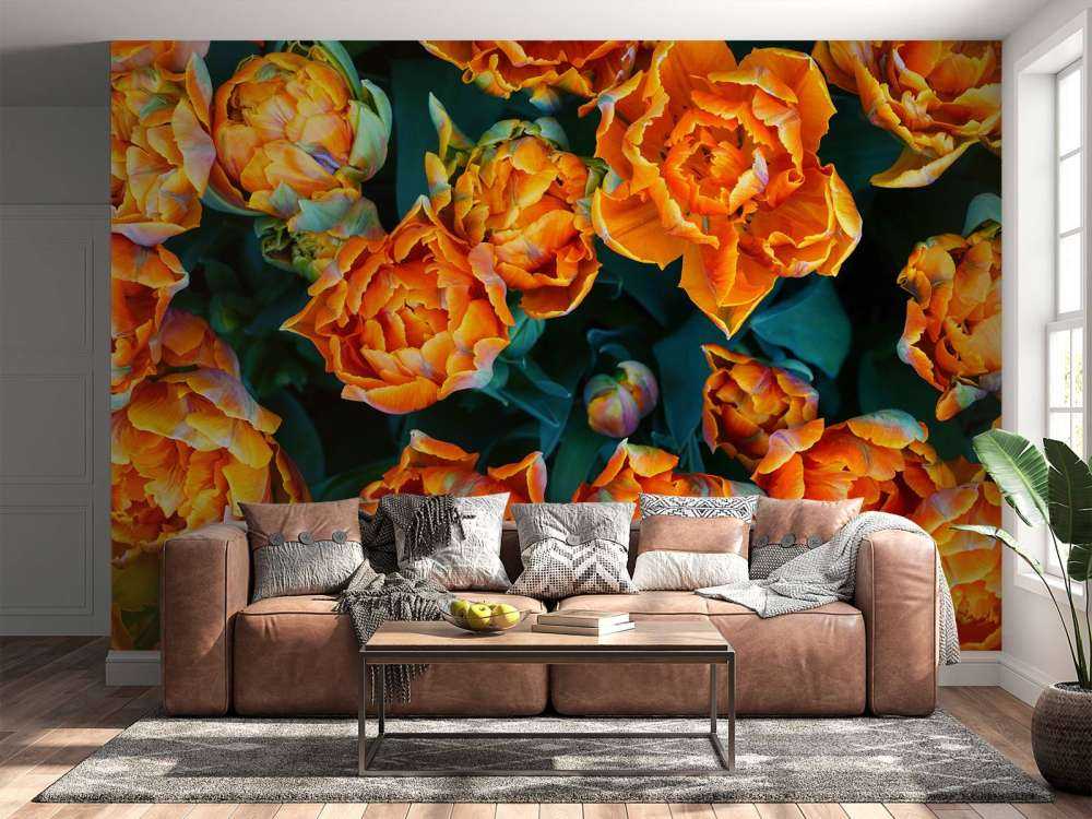 Gros plan sur des tulipes orange