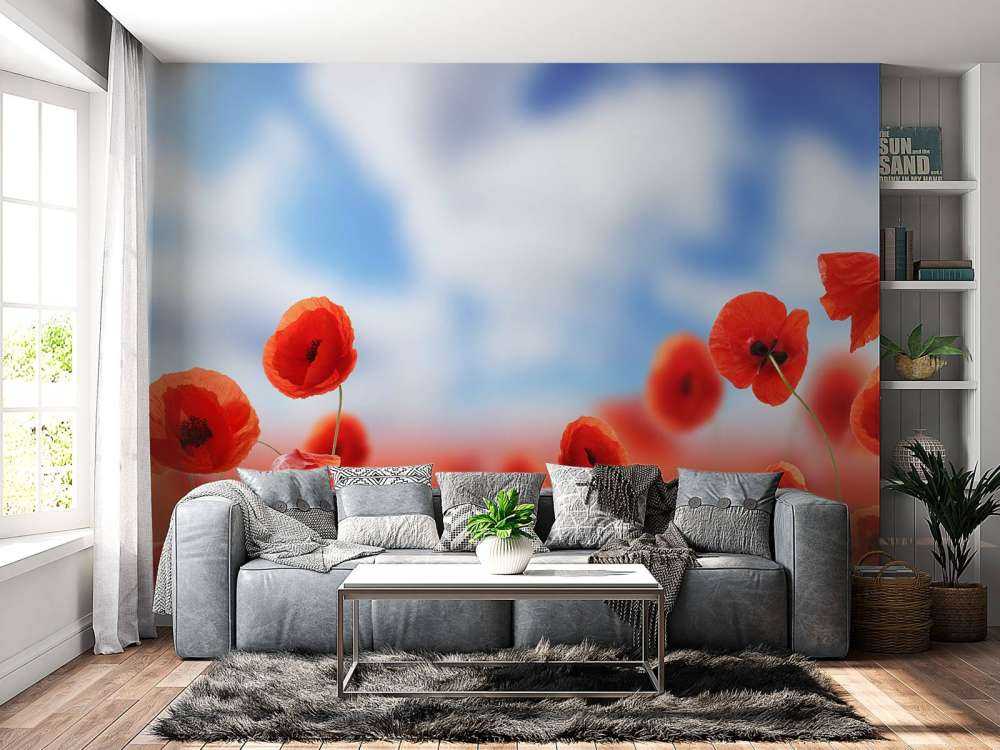 Ciel bleu et coquelicots rouges