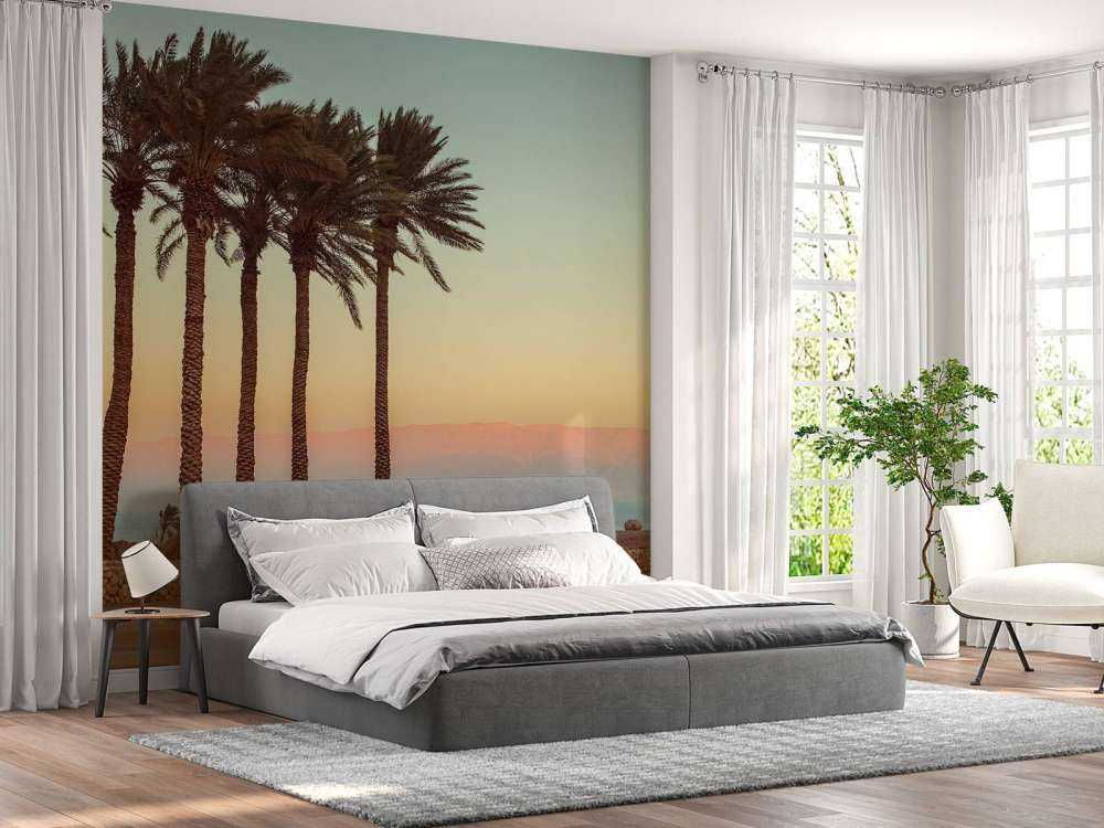 Palmiers au coucher du soleil