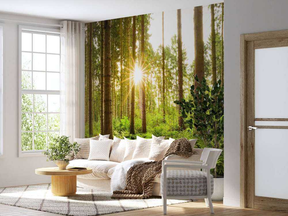Soleil brillant