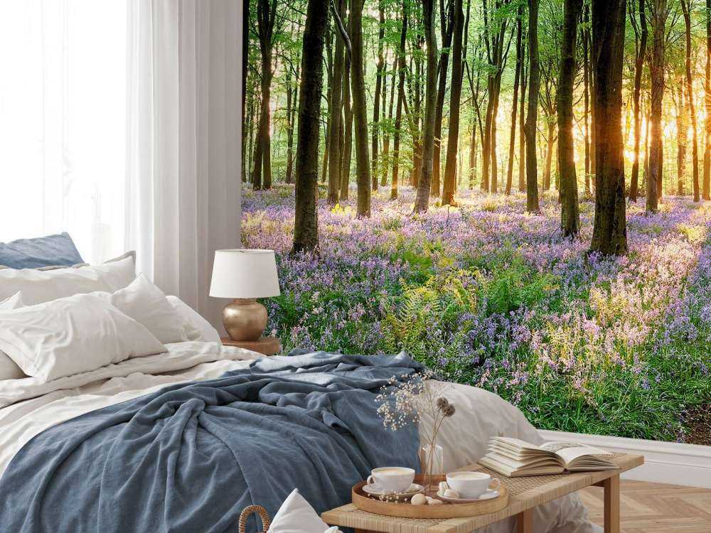 Chemin forestier au lever du soleil