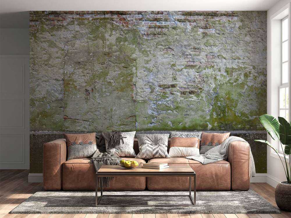 Mousse sur un vieux mur