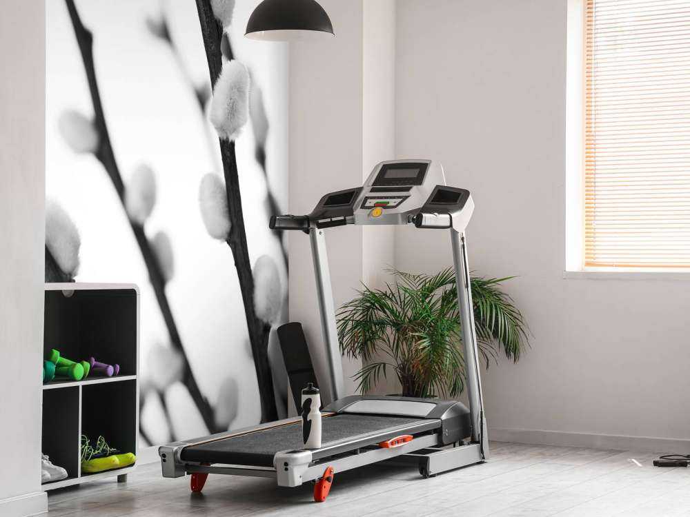 Saule de la forêt en noir et blanc