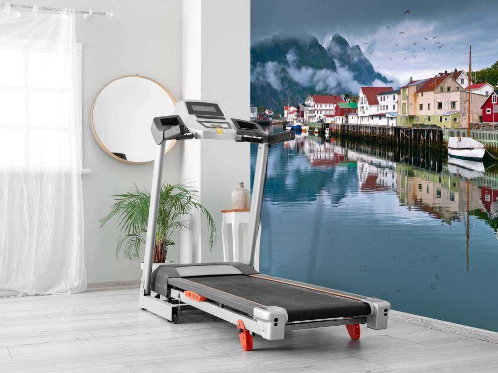 Maisons dans les îles Lofoten