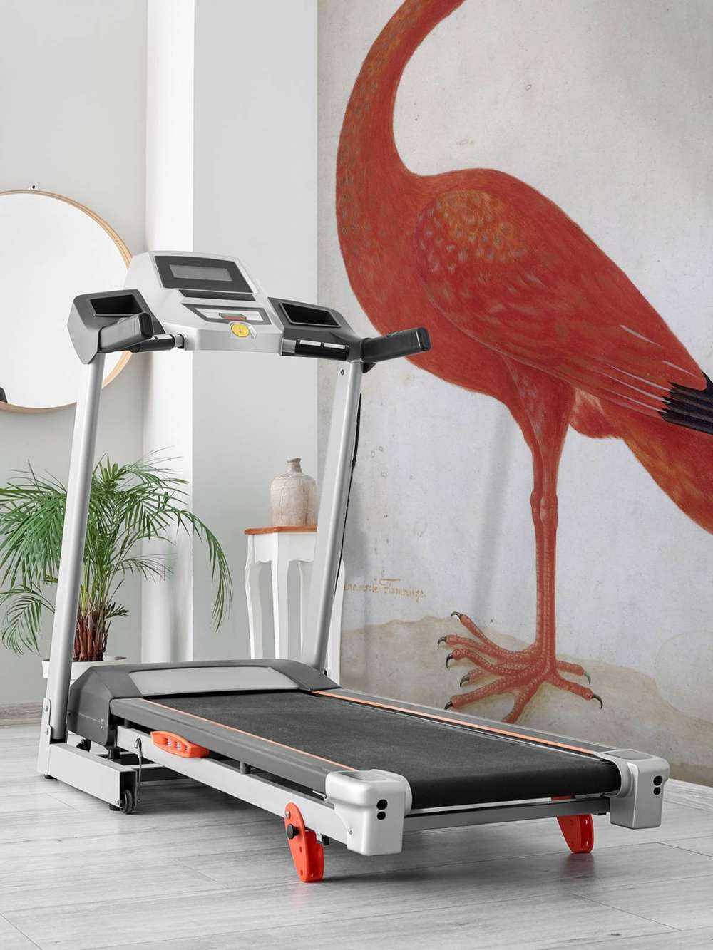 Ibis rouge à l'oeuf