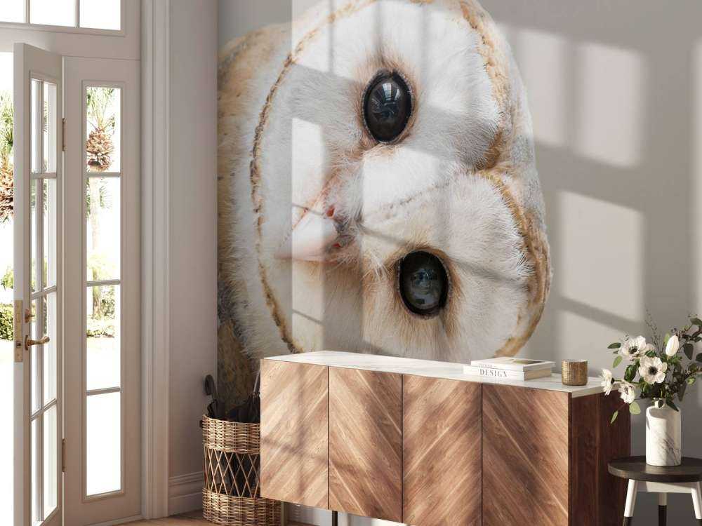 Chouette avec la tête inclinée