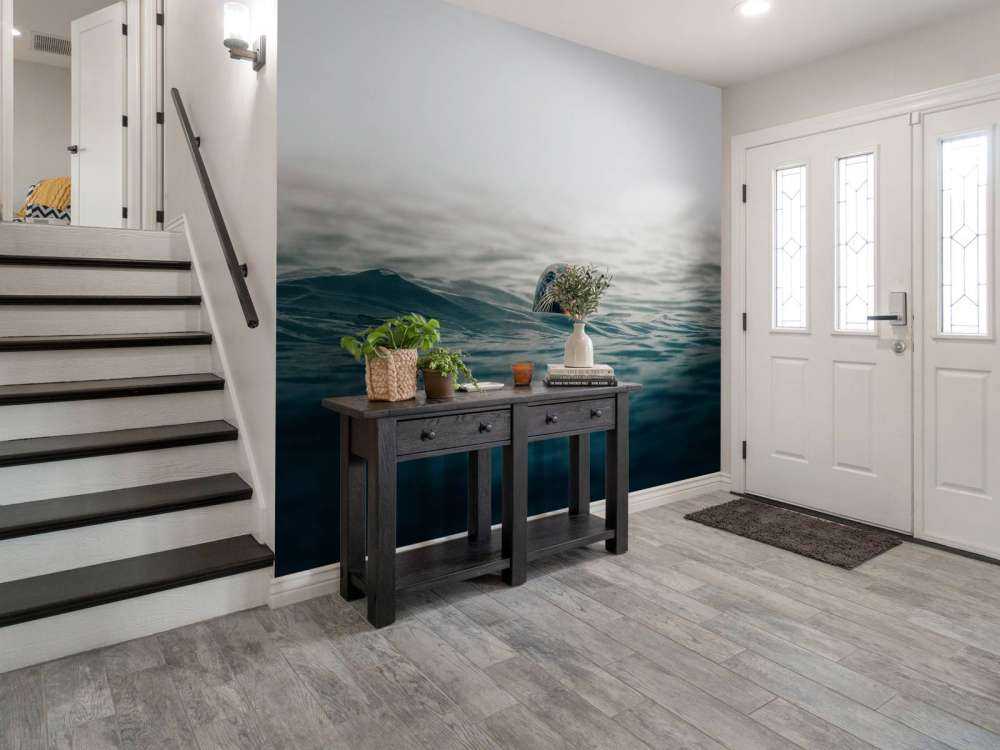 Un phoque au large des côtes danoises