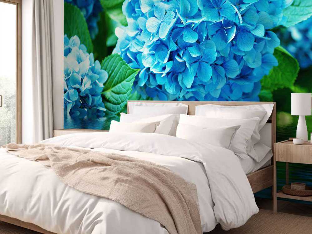 Hortensia dans l'eau