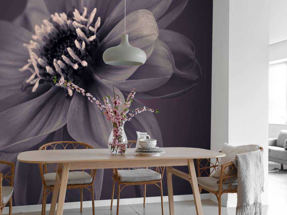 Fleur de dahlia foncé