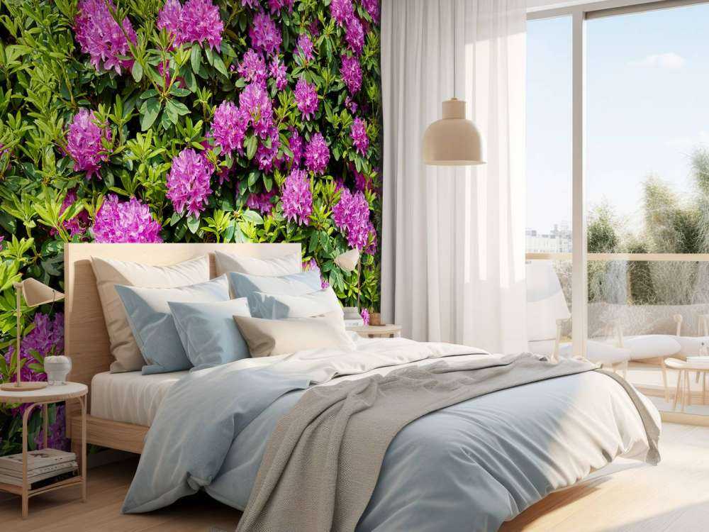 Rhododendrons
