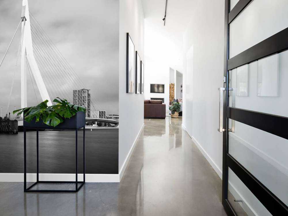 Pont Erasmus Rotterdam