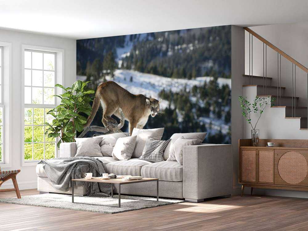 Lion de montagne sur un arbre mort