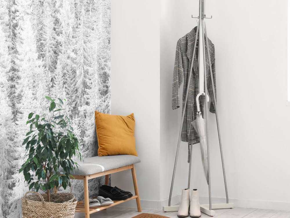 Les conifères en noir et blanc