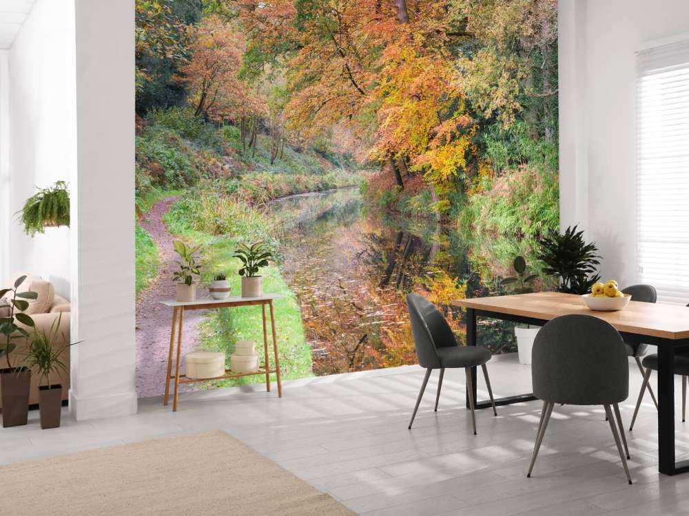 Chemin le long du canal