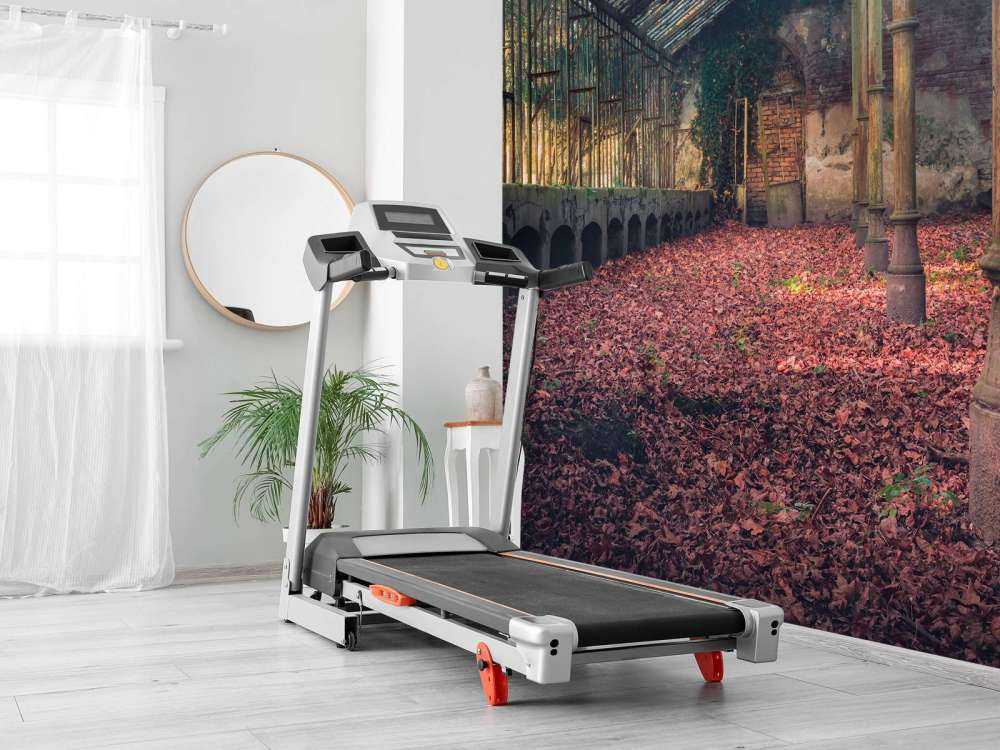 Maison abandonnée avec des feuilles