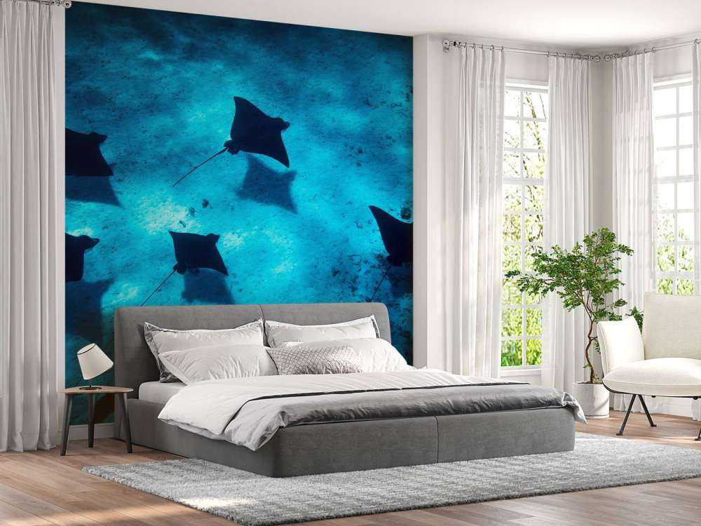 Les raies manta flottant à travers le récif bleu profond