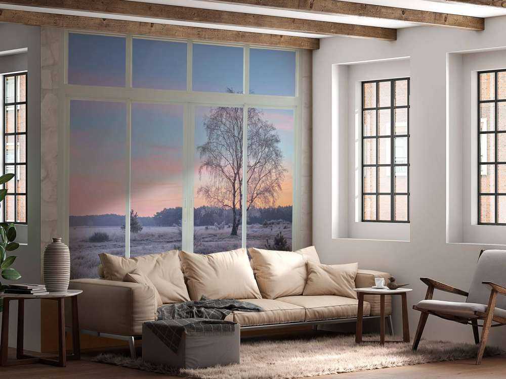 Paysage d'hiver au lever du jour