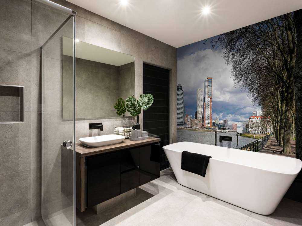 Skyline de Rotterdam depuis le quai