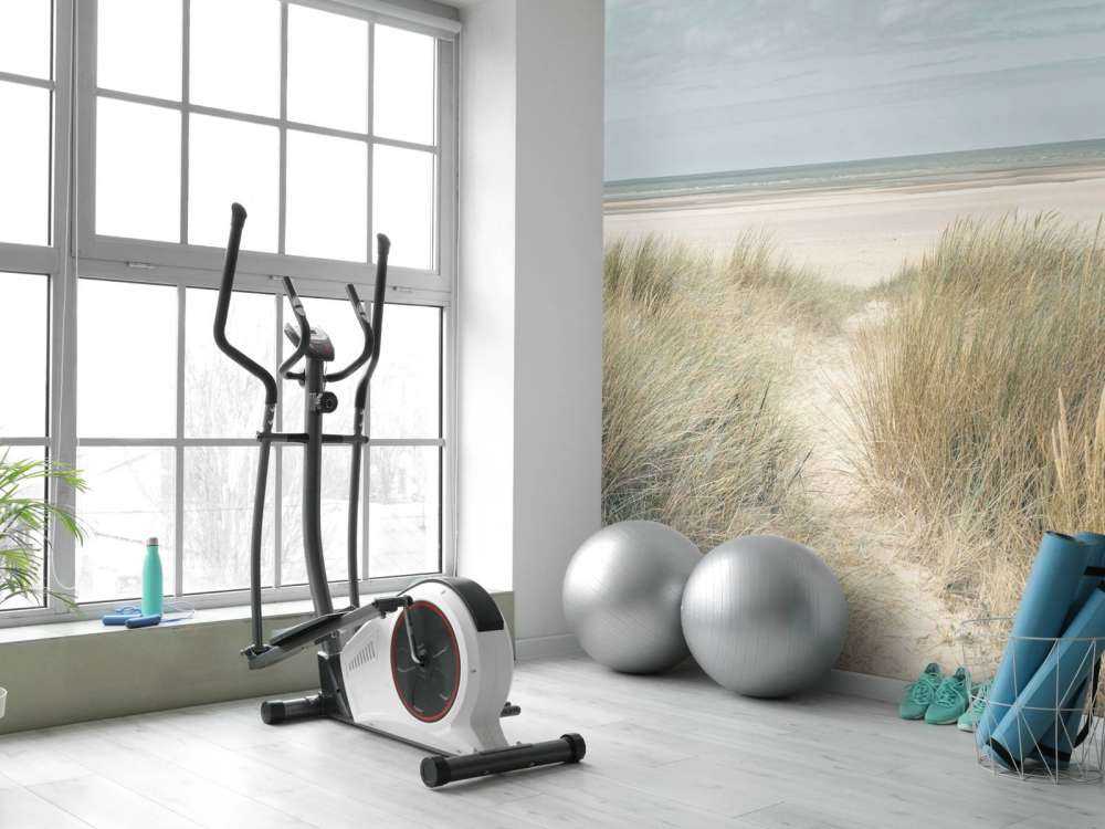 Dunes de sable herbeux sur la côte sous un ciel bleu