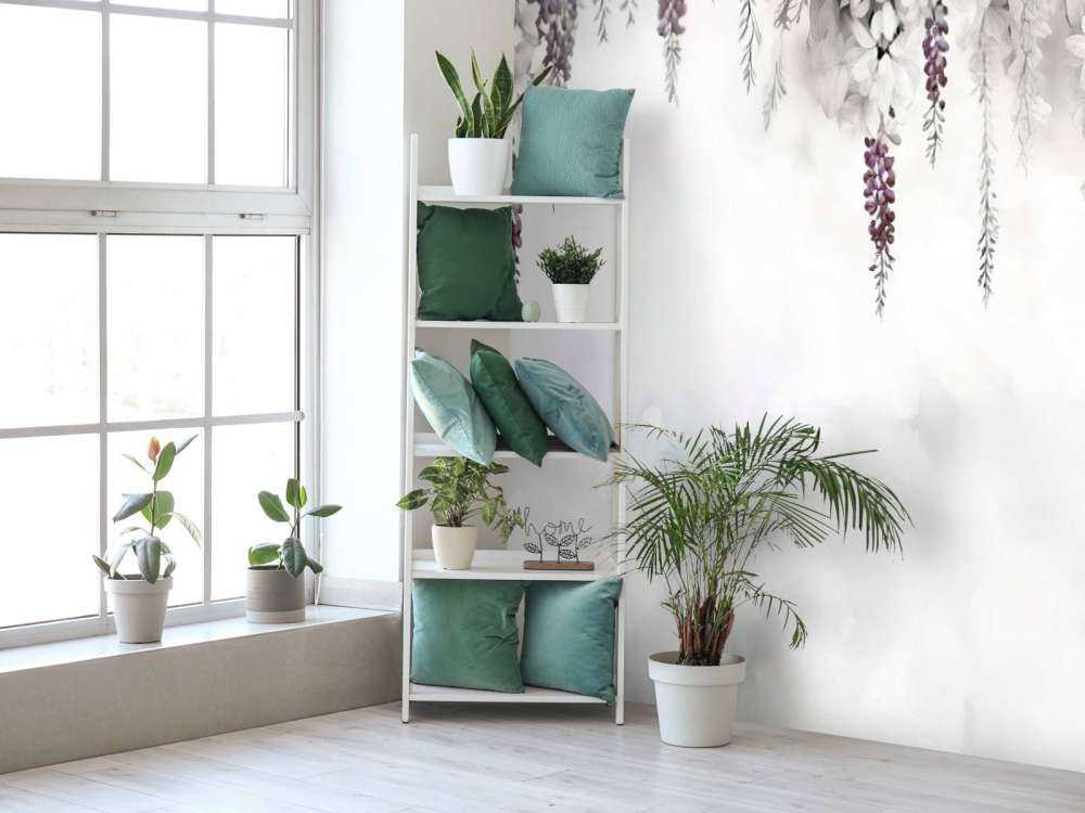 Jardin de Glycine Douce Blanc