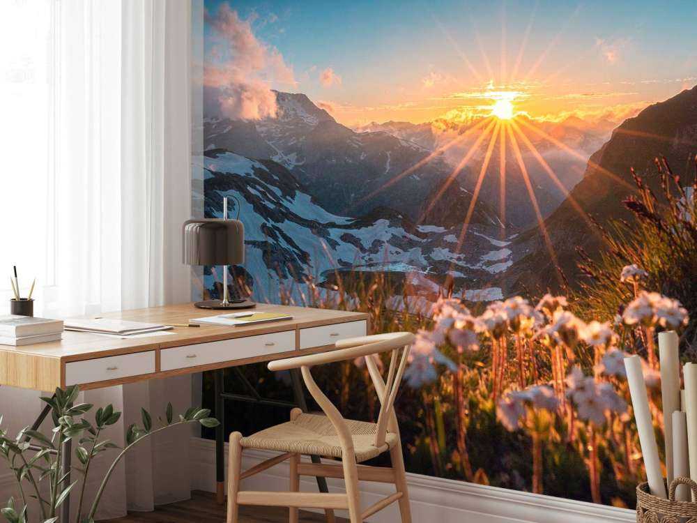 Lumière du soleil sur alpage alpin