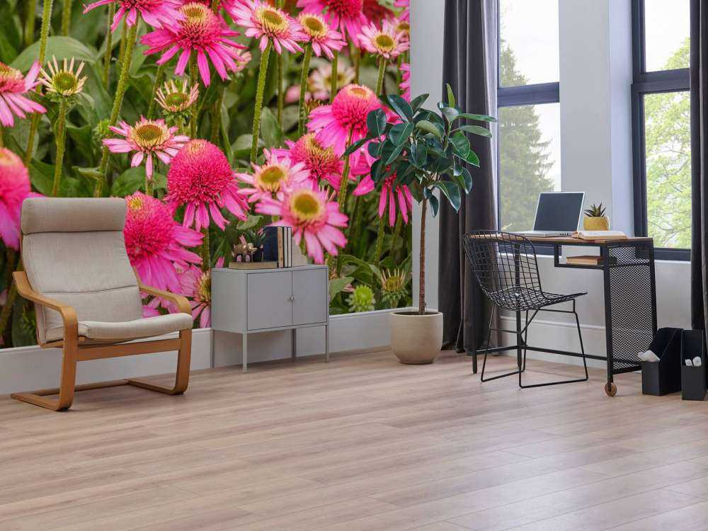 Les échinacées dans le jardin