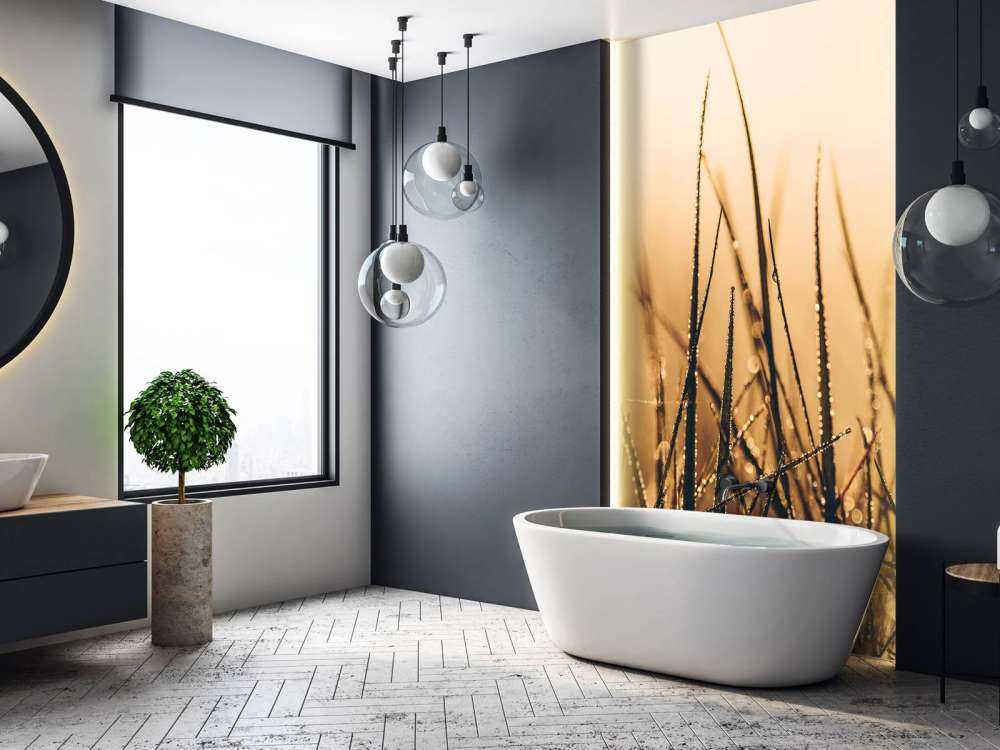 Herbe de rosée étincelante