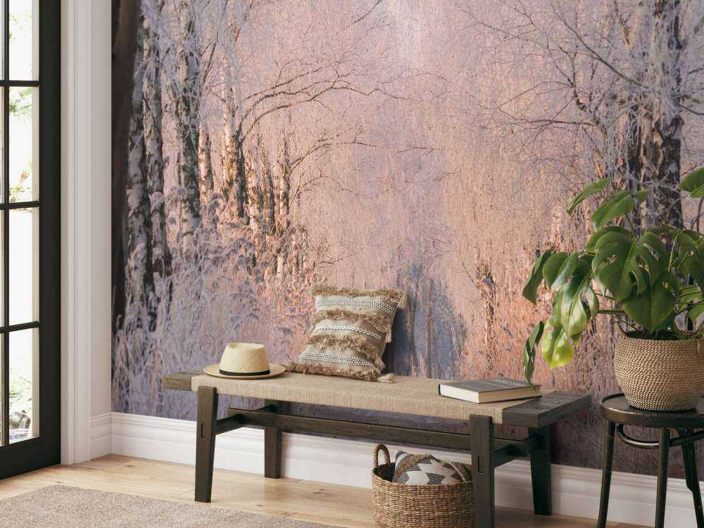 Bomenrij dans la brume d'hiver