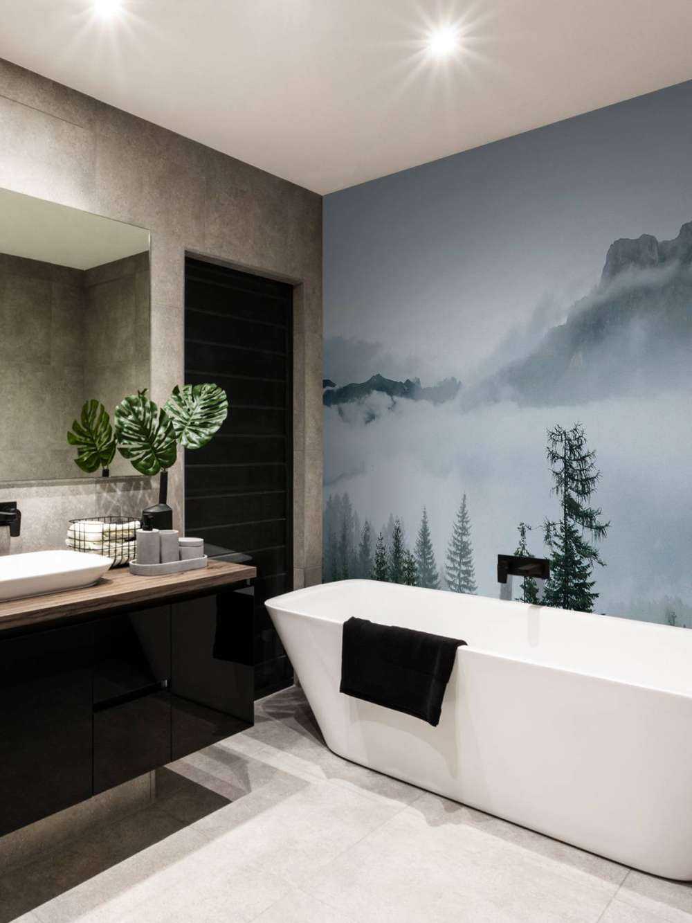 Brume matinale sur la forêt