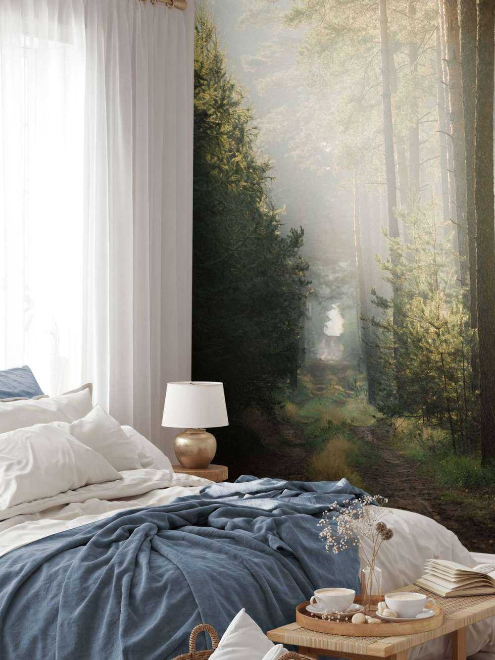 Jeu de lumière dans la forêt de pins