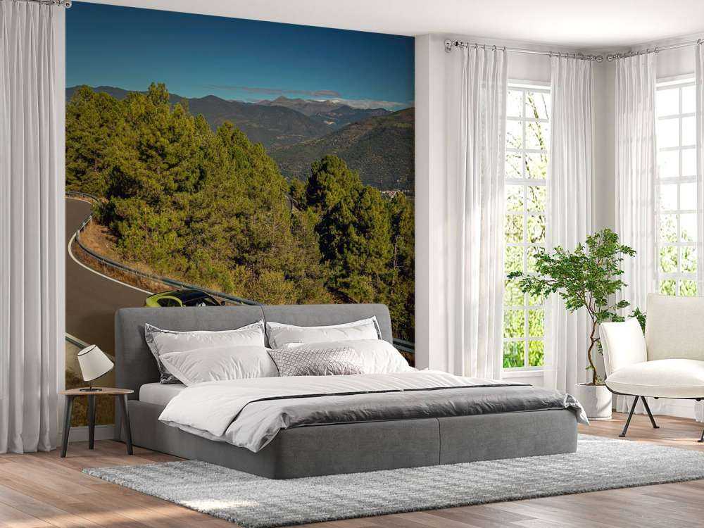 BMW vert lime sur route de montagne