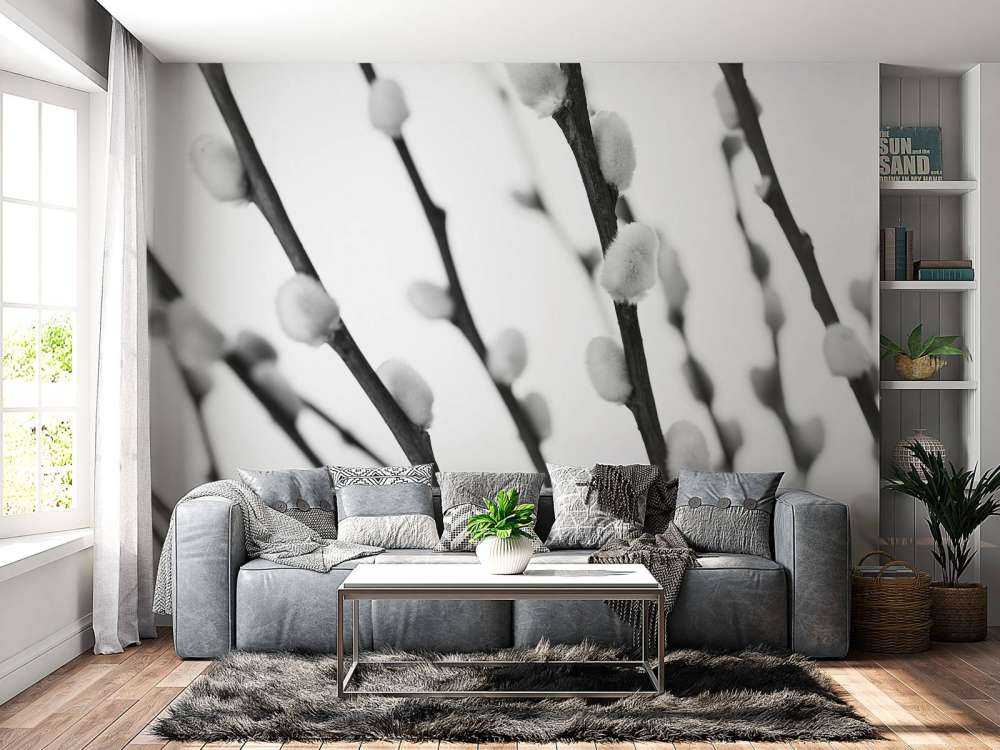 Saule de la forêt en noir et blanc