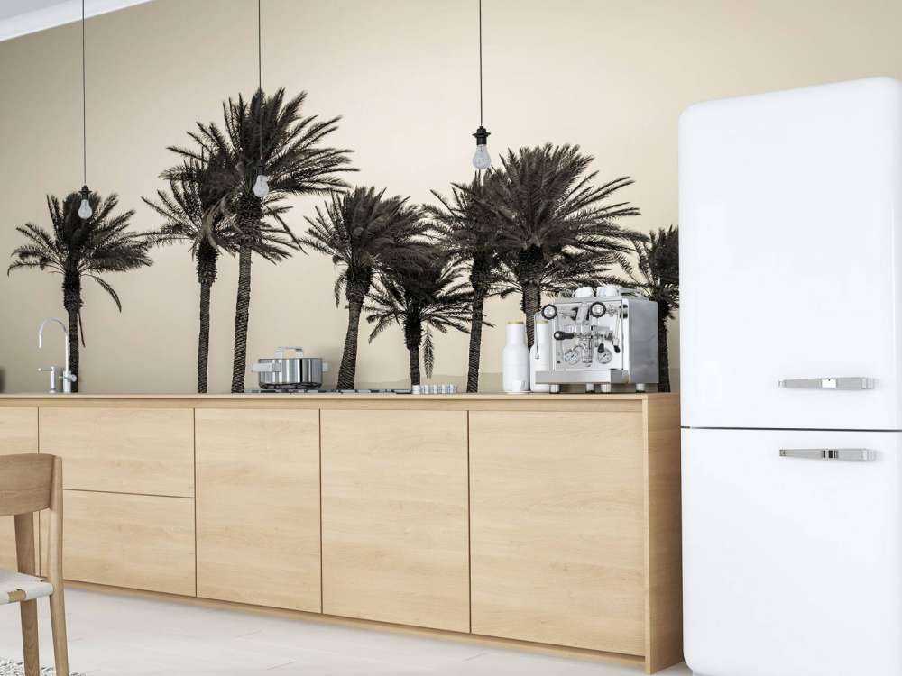 Palmiers noir et blanc