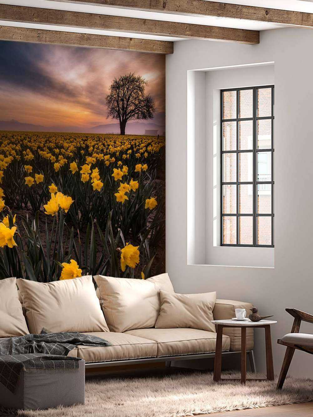 Champ avec jonquilles