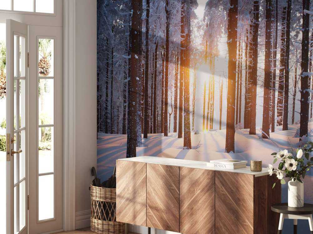 Coucher de soleil dans une forêt d'hiver