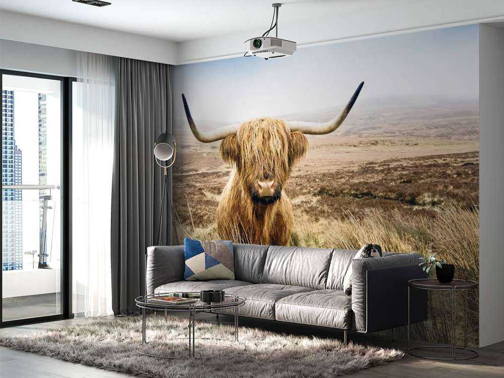 Highland écossais avec roseau